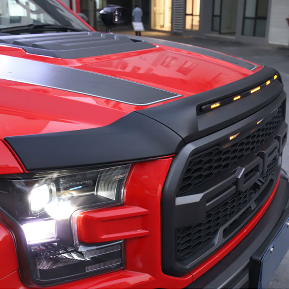 Front Bug Shield Hood Deflecto - Lighting Bug Decor review and price