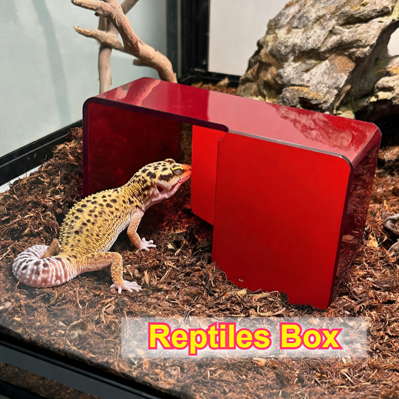 Red Acrylic Reptile Box Habita - Gecko Lighting & Decor review and price