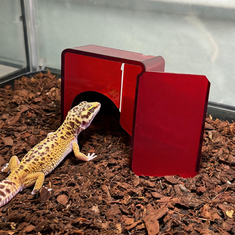 Red Acrylic Reptile Box Habita - Gecko Lighting & Decor review and price